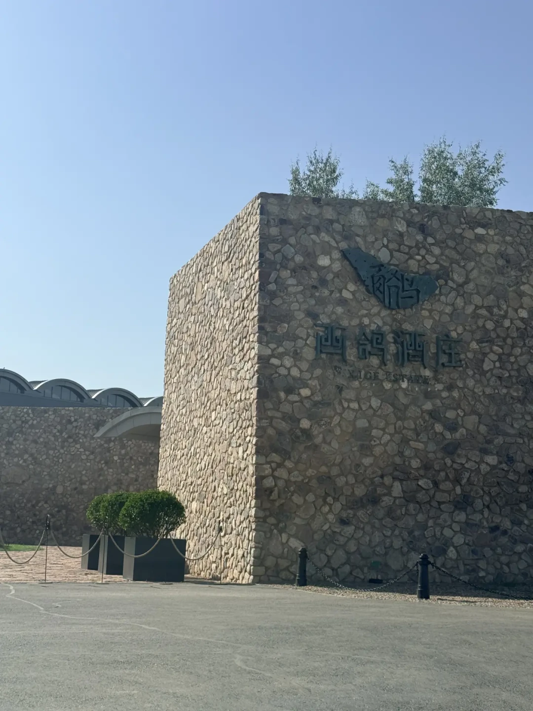 有人说它成了景点,有人专门来住一晚:贺兰山东麓的西鸽酒庄,国庆前值得安排吗
