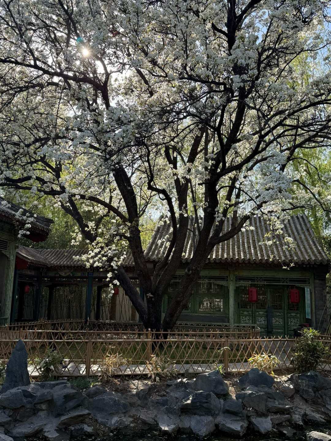 她说“我最不喜欢李义山的诗”,可书里另外三处都在替她“反水”:今年这场刷屏的争论,我对着原著核了一遍