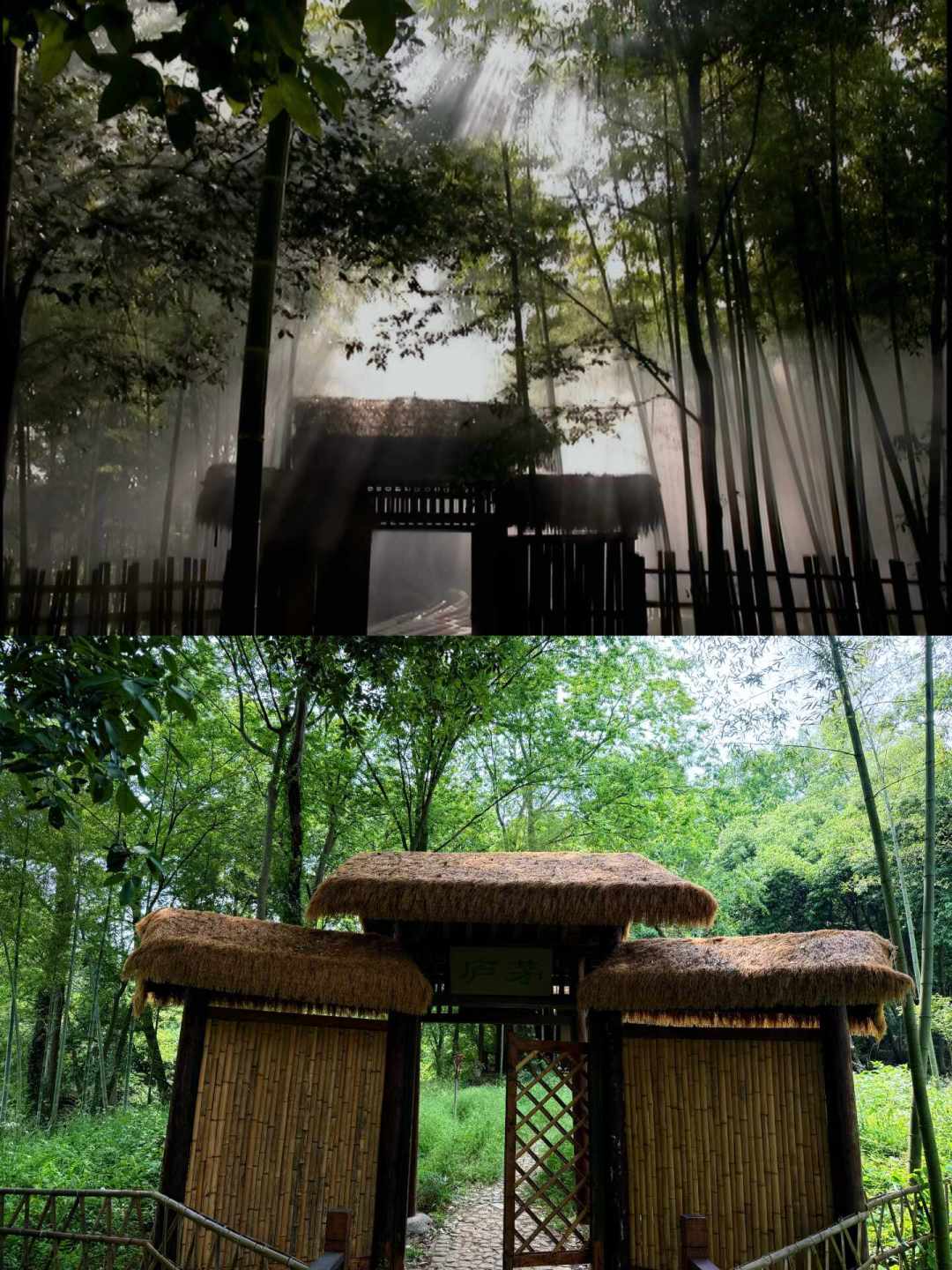 01版任盈盈:一半人封神,一半人说毁原著,差的其实是两把尺子