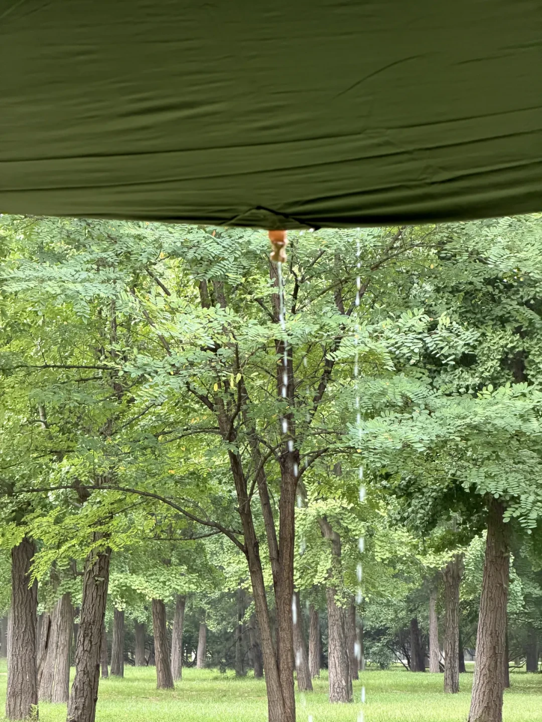 台风“沙德尔”复活,强降雨继续:这个周末的solo露营,出发前先看这份“危险区”判断