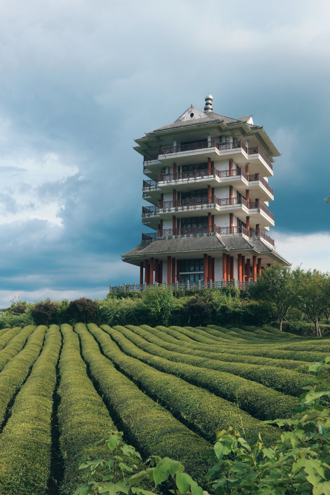 以为采茶只能等明年三月？对了一圈各茶区消息：秋茶已经开采，更香更便宜人还少，但出发前得先确认三件事。