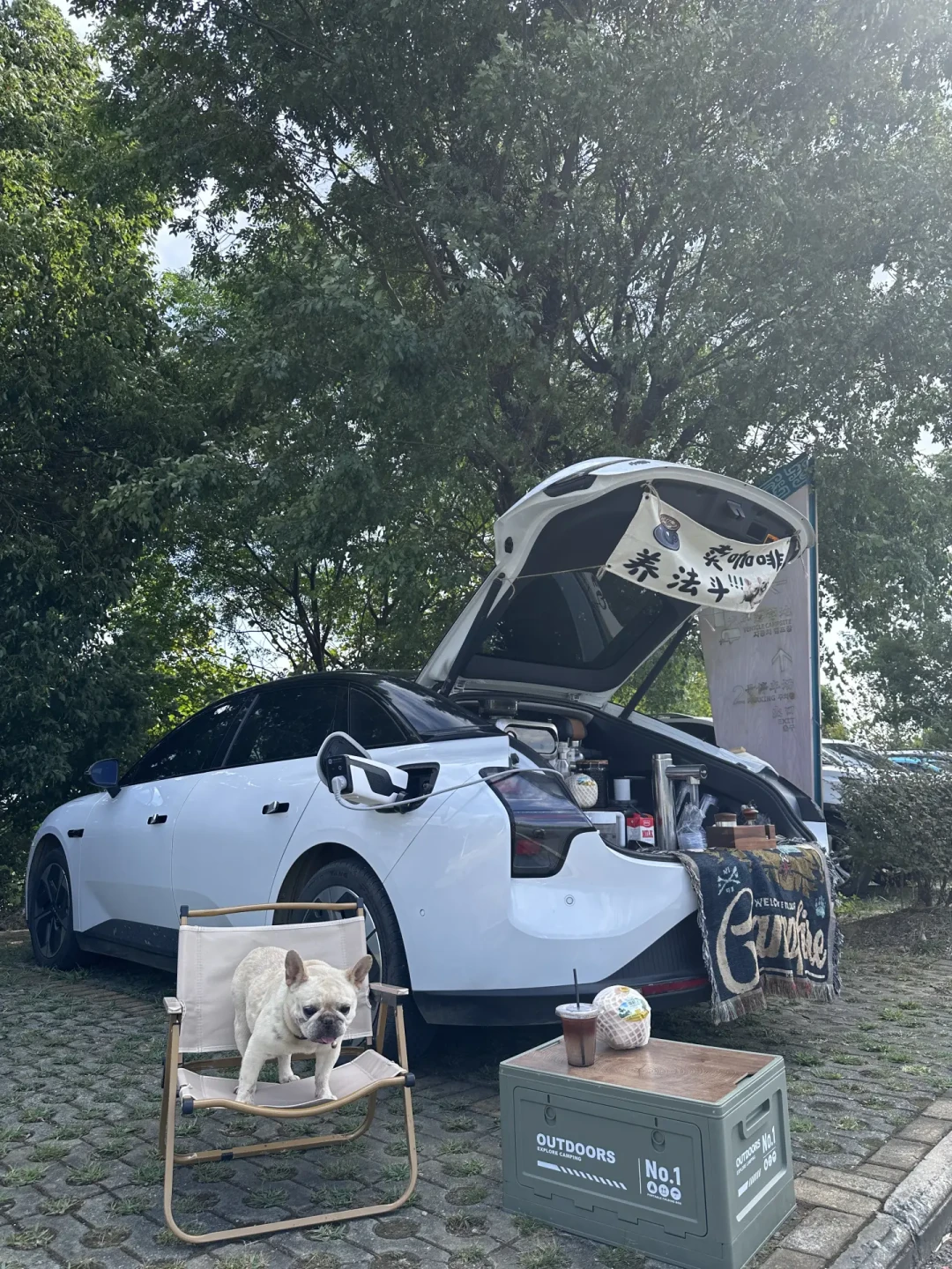 一条2618赞的皮卡咖啡车视频,和3万8的翻车现场:把后斗改成小店前,先算清车检、办证、保险三笔账