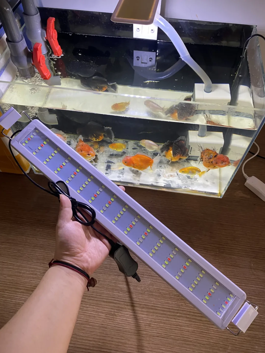 4万人点赞的增艳灯爆款视频,2.6万赞热评说它是「猪肉店灯光」:翻完全网实拍帖,我搞懂了这盏灯到底照给谁看