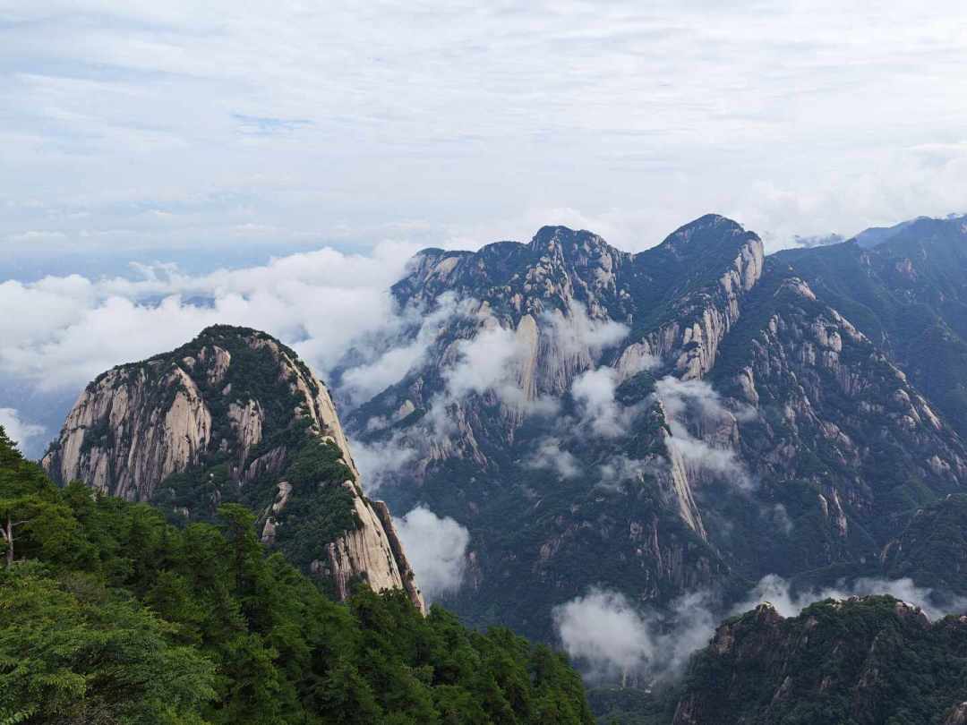 重生林平之,第一件事都在救爸妈?跨平台翻完这些同人,我发现没有一个人选择称霸江湖