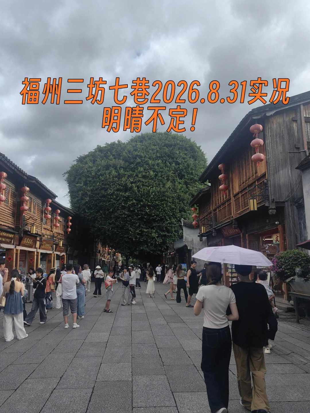 重生林平之,第一件事都在救爸妈?跨平台翻完这些同人,我发现没有一个人选择称霸江湖