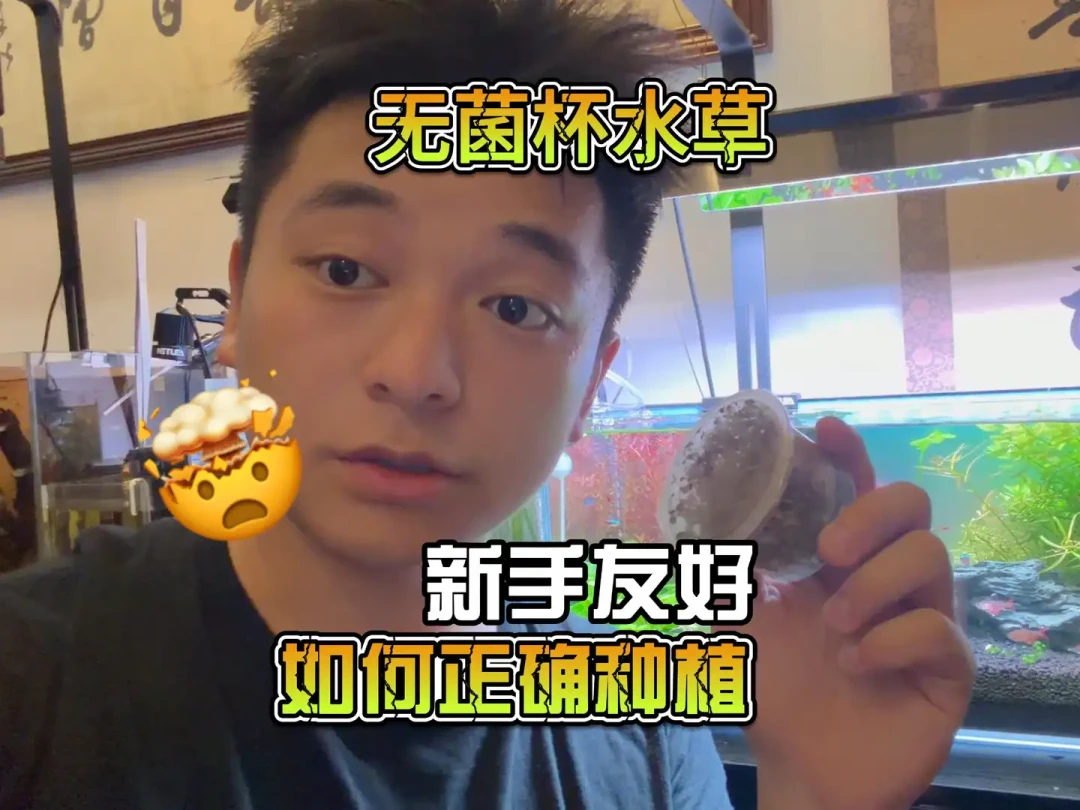 9.9元一杯的“无藻无螺”无菌杯水草,新手到底是福音还是坑?我把B站翻车视频和小红书踩坑帖摆在一起:新开缸可买,这4种情况别下单