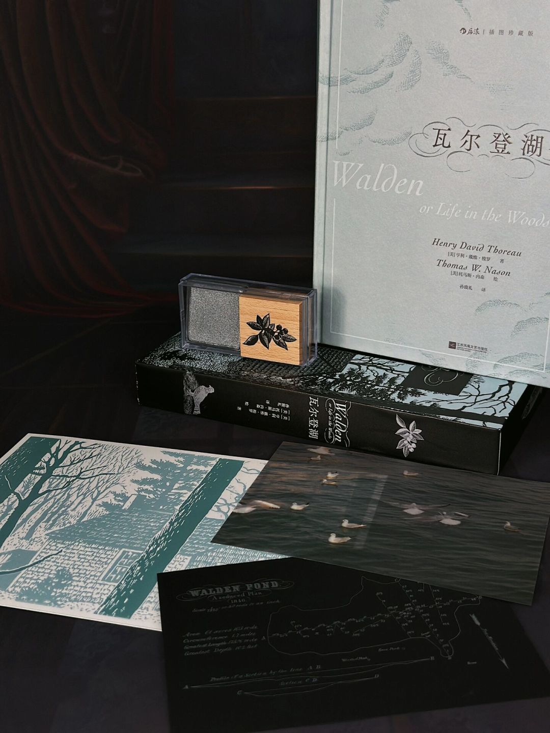 《瓦尔登湖》读不下去?对比5个译本后发现,一多半问题不在你,在版本