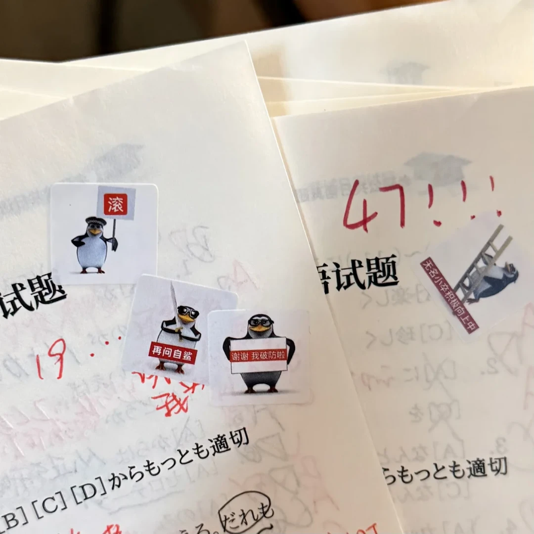 27考研报名季,二外先变了:4类改考通知分清楚,再聊选203还是248