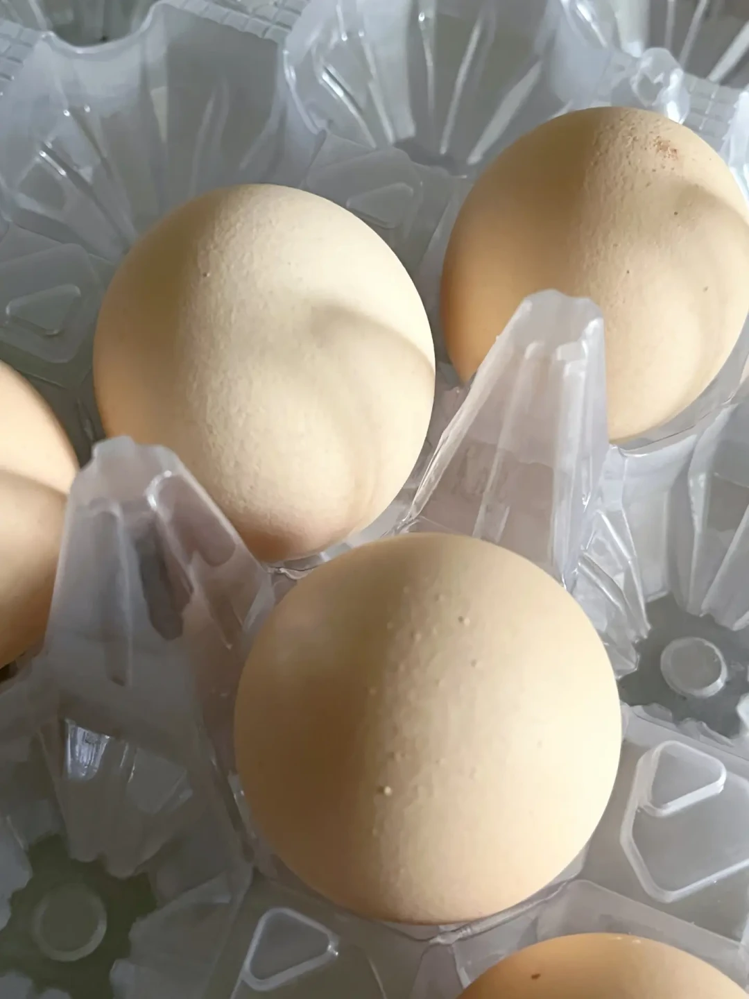 嘴上说“不用补”,橱窗里挂着鱼油:偏口鱼博士的300万粉丝,最后都花在了哪?