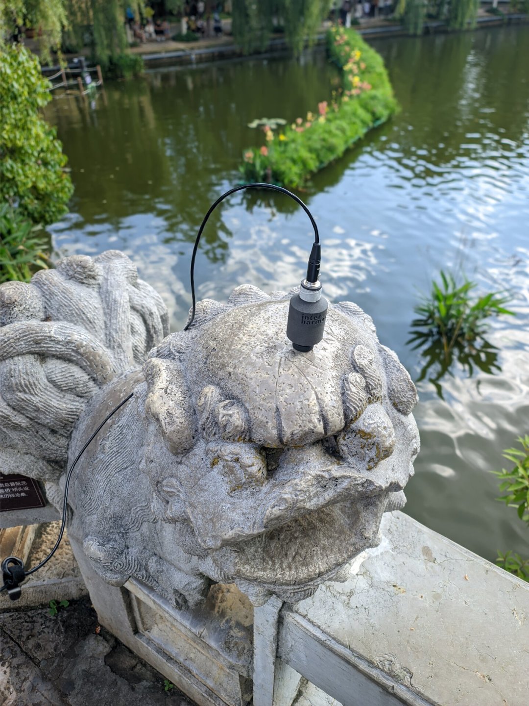 刷爆全网的“植物声音”，录的其实不是植物：接触麦从十块到五万怎么买，一次说清