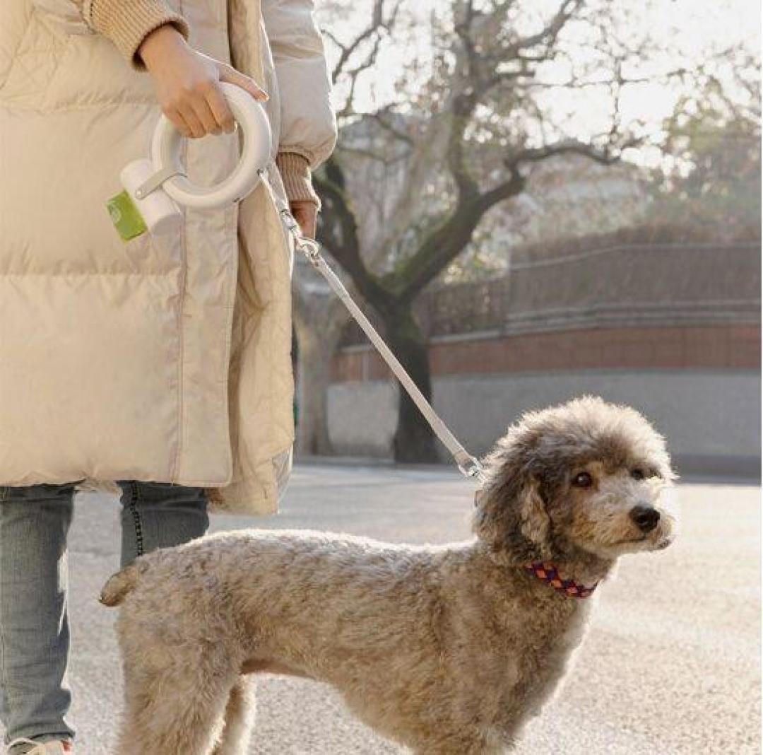 养犬新规落地,这4种狗行为最容易“出事”:训练顺序和花钱避坑指南