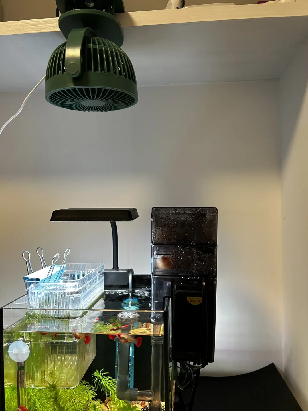 水温飙过28℃、自带风扇白转:这个夏天尼特利用户的降温帖,我把五笔账一次算清