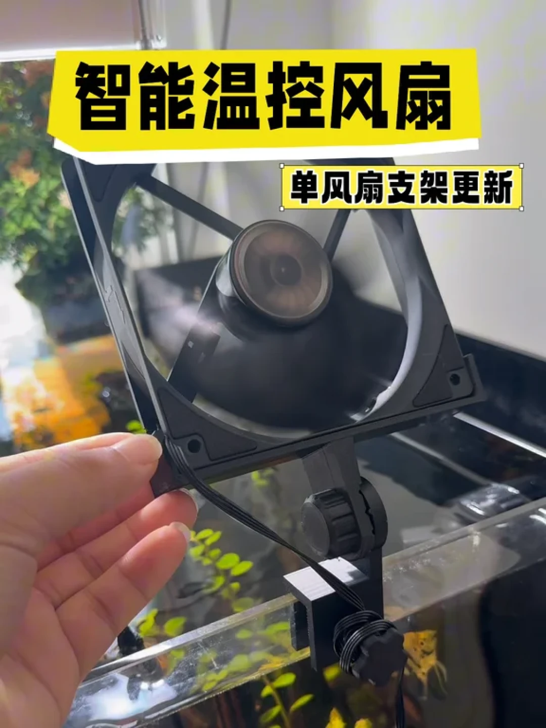 水温飙过28℃、自带风扇白转:这个夏天尼特利用户的降温帖,我把五笔账一次算清