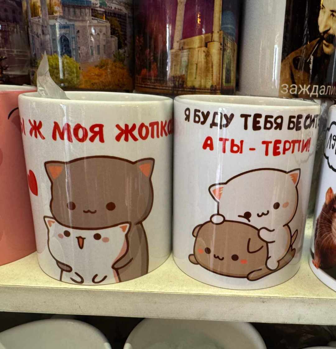 蜜桃猫的“国际大明星”人设：商场实拍、Ozon贴纸摊和一句“不认识”，哪一半是真的？