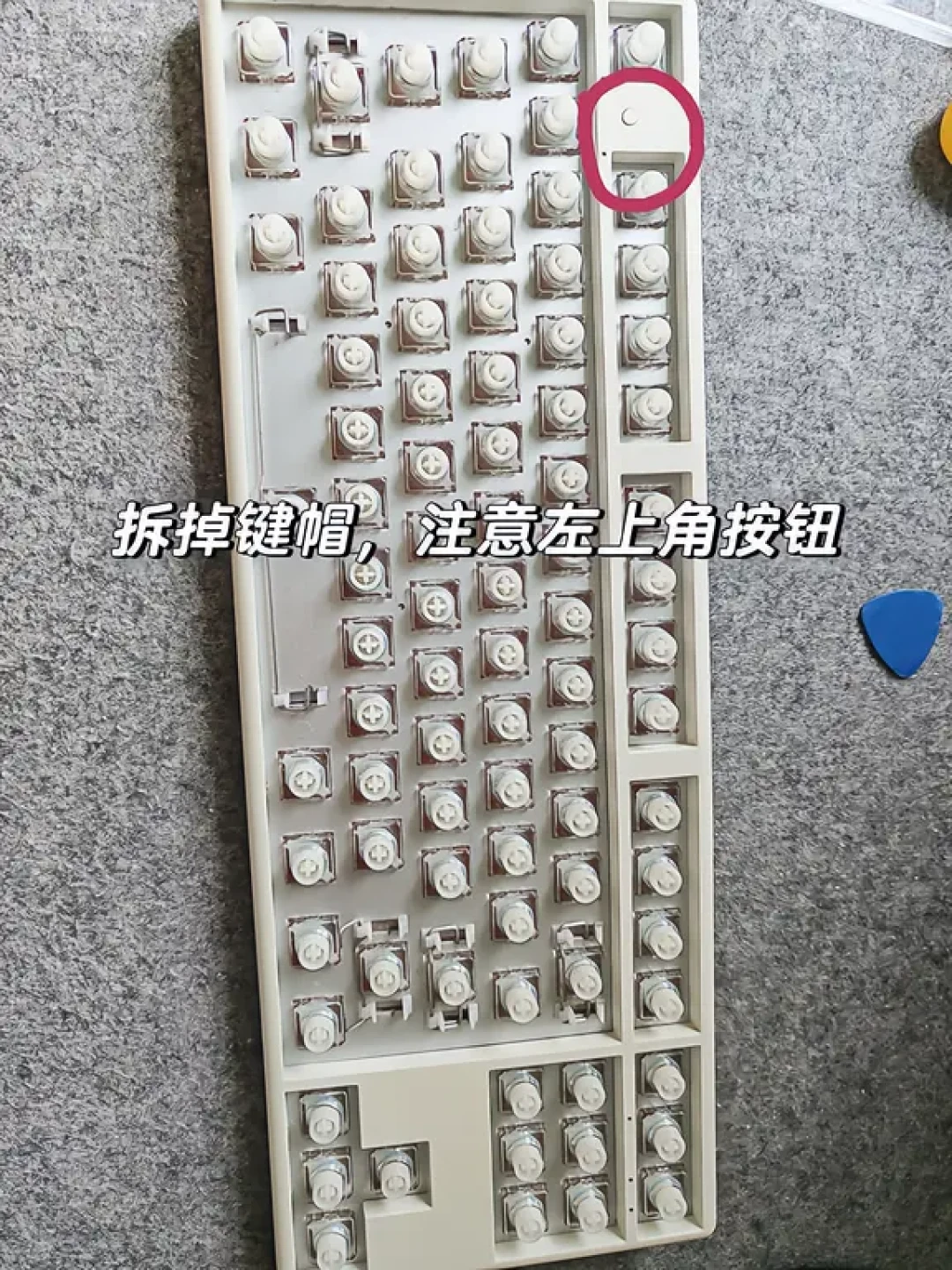 全新破千、旧机240,除了电路板全都能换:扒完宁芝改装配件链,这把静电容是能养的