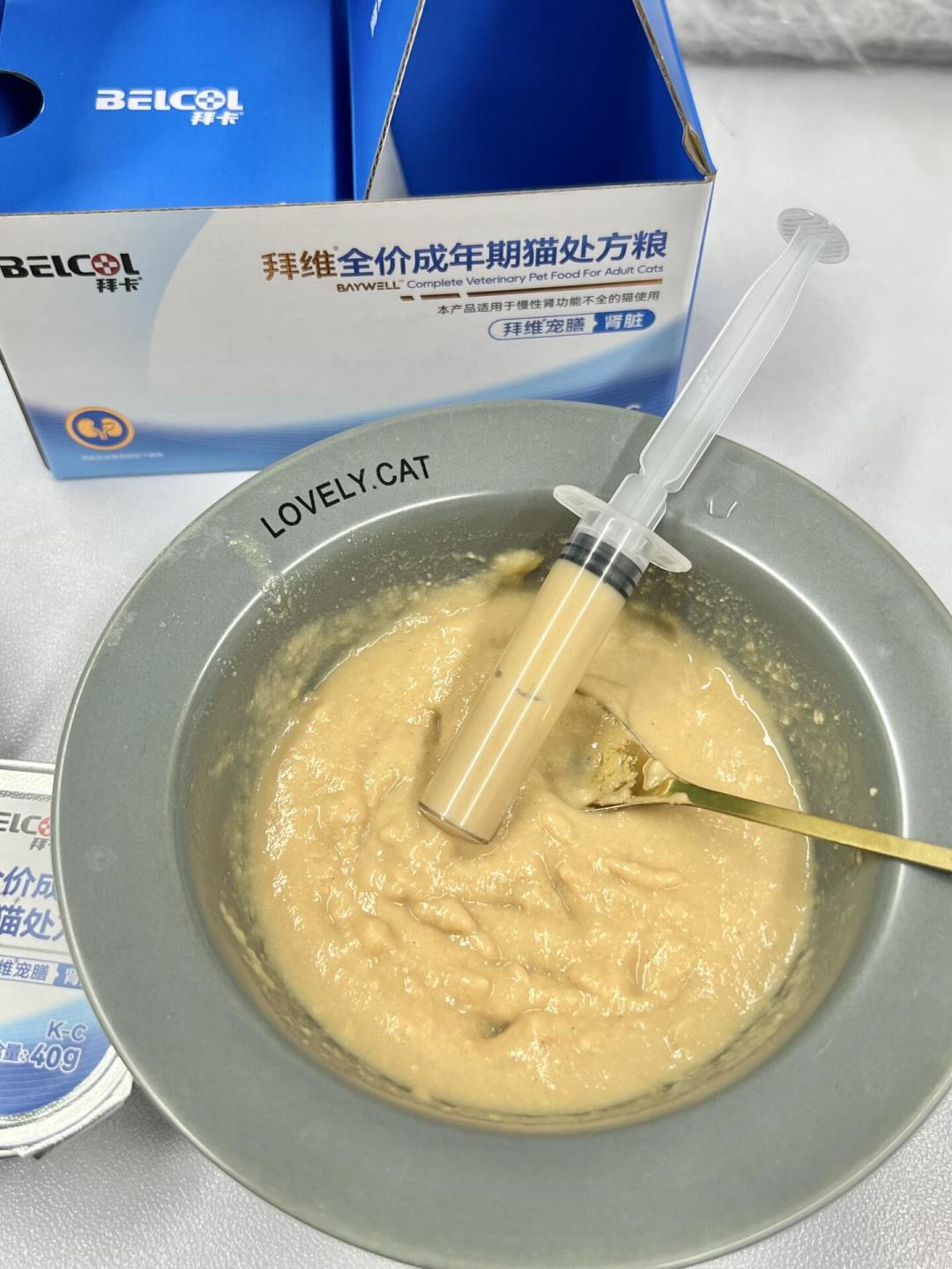 猫查出肾不好,网上的建议全都有道理?先把这本“磷”账算明白