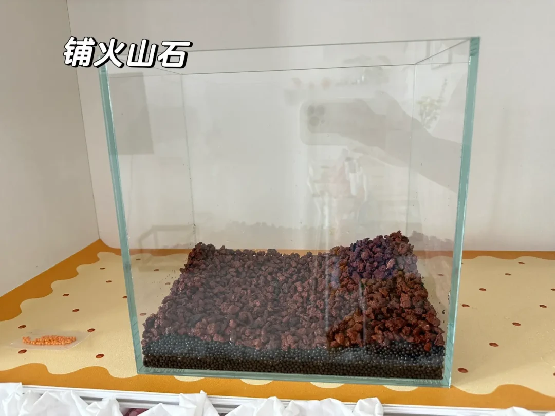 想开三无缸?9月是最后一个窗口:30元材料清单+7种翻车现场,我都替你翻完了