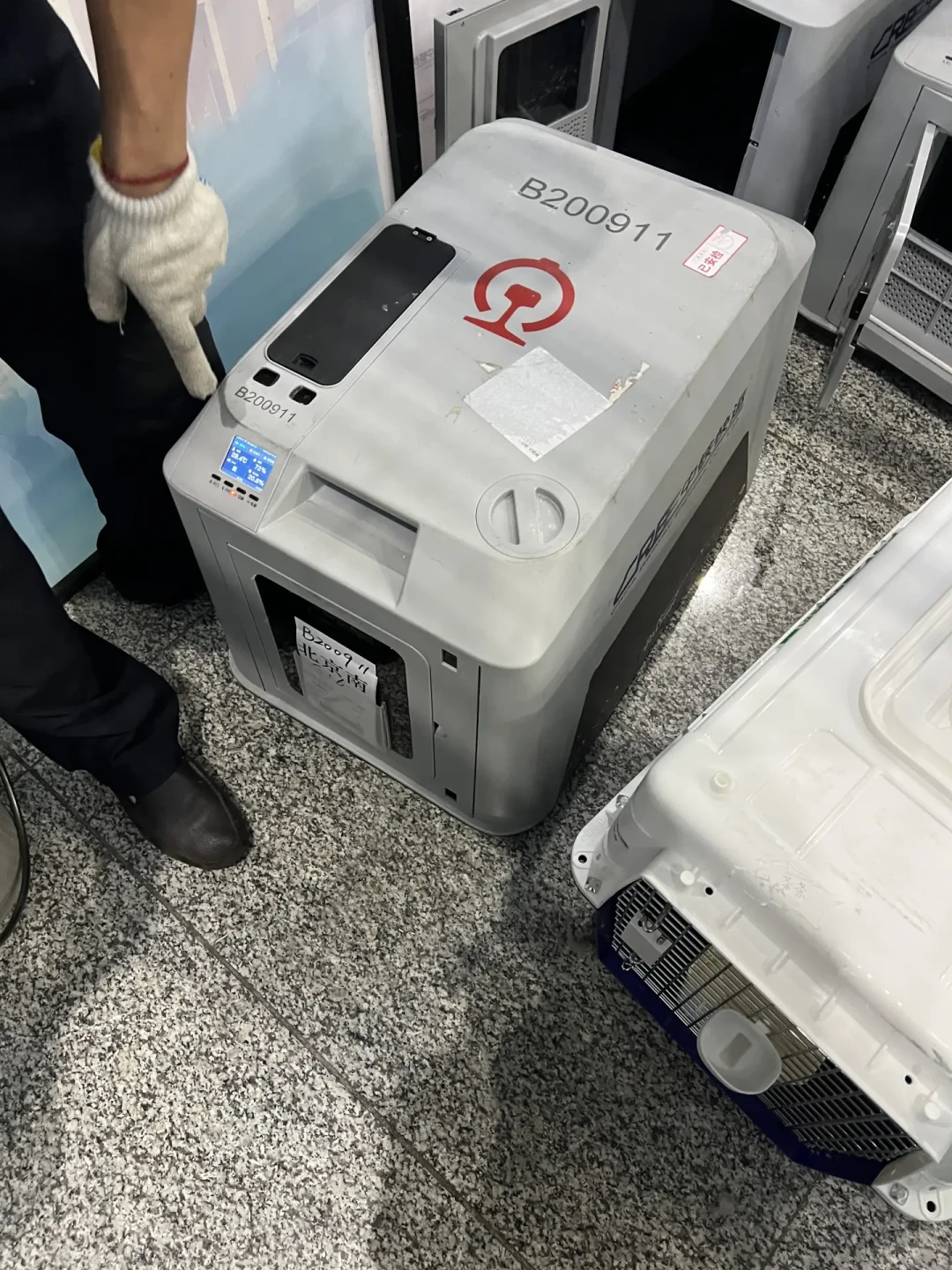 13天长假猫狗去哪?官方高铁托运360元起、寄养最高300一天:下单前先核