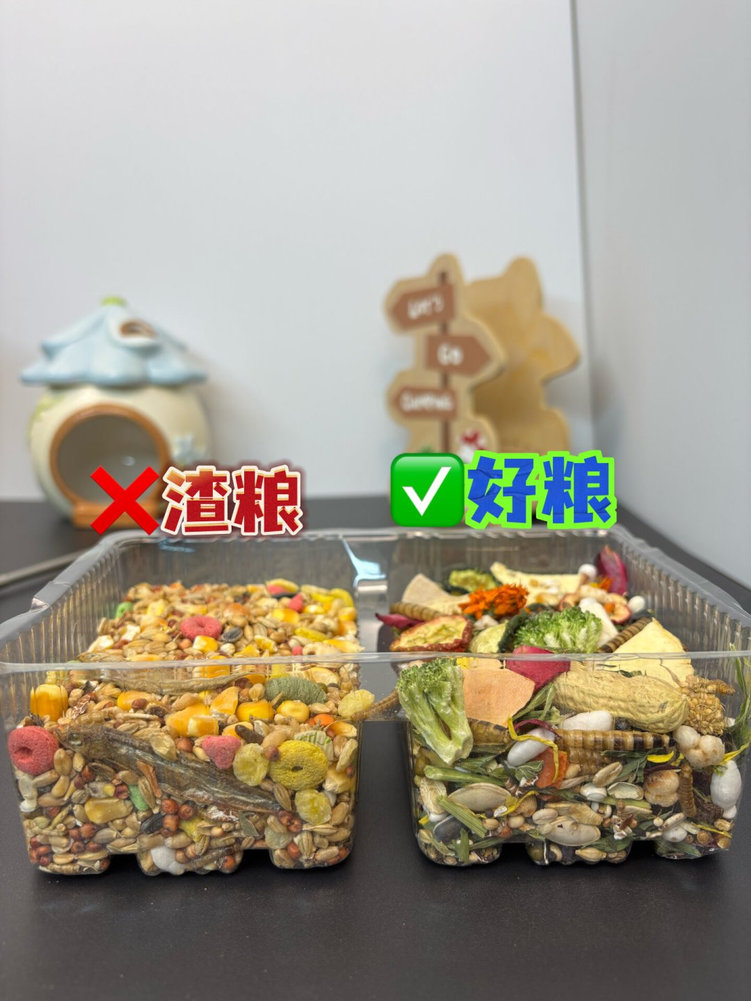 “渣粮鉴别”帖一半在卖粮:仓鼠主粮选购,记住三条标准就够了