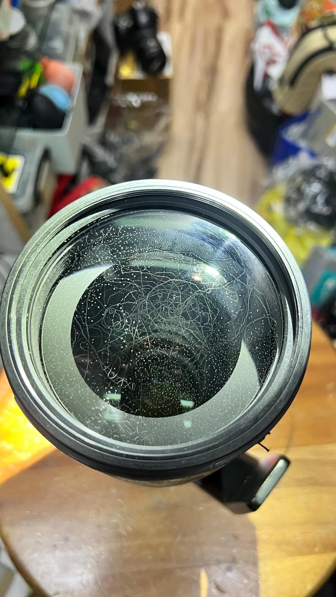 开学把器材翻出来的人,第一批哀嚎的不只有广东学生:清霉200元起、防霉50元起,这笔账我一次摆清