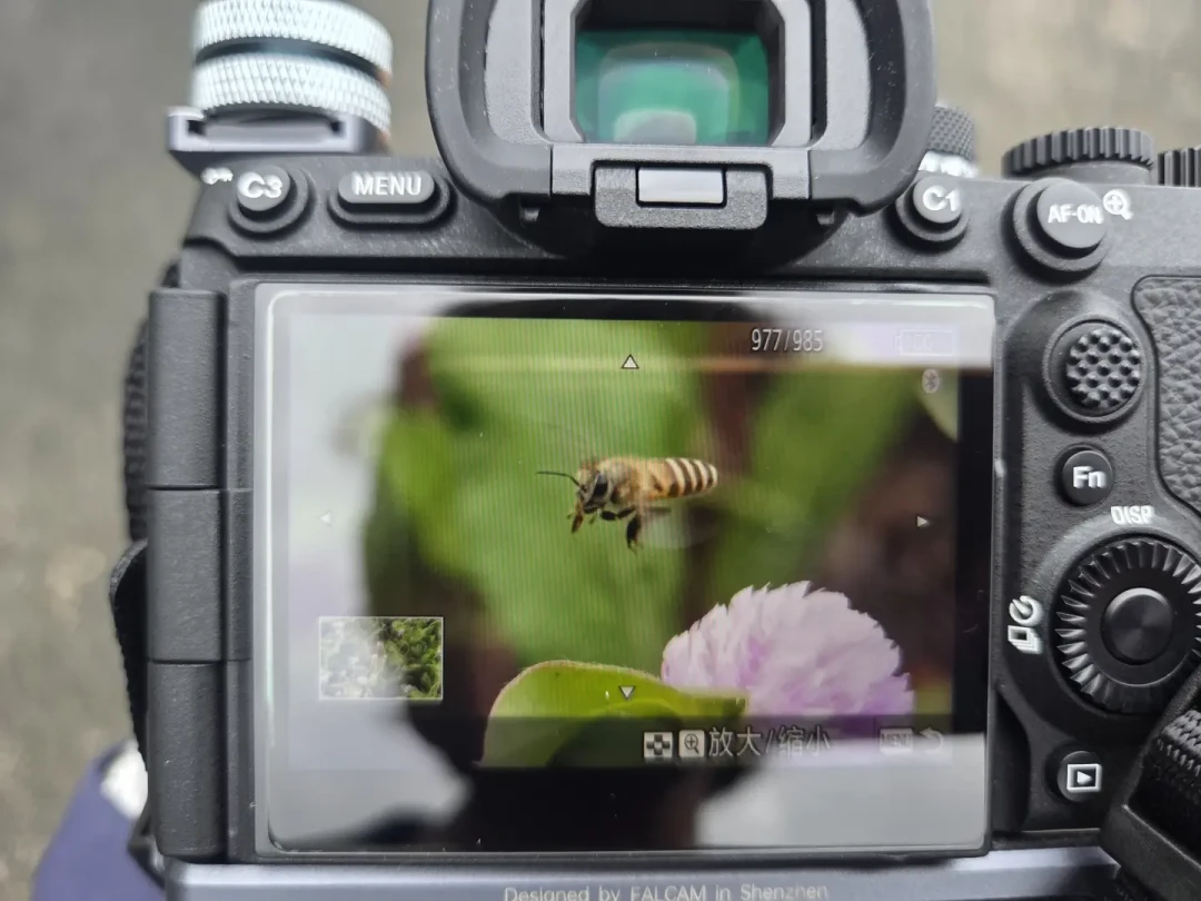 A7R6首发31799元,三个月跌进