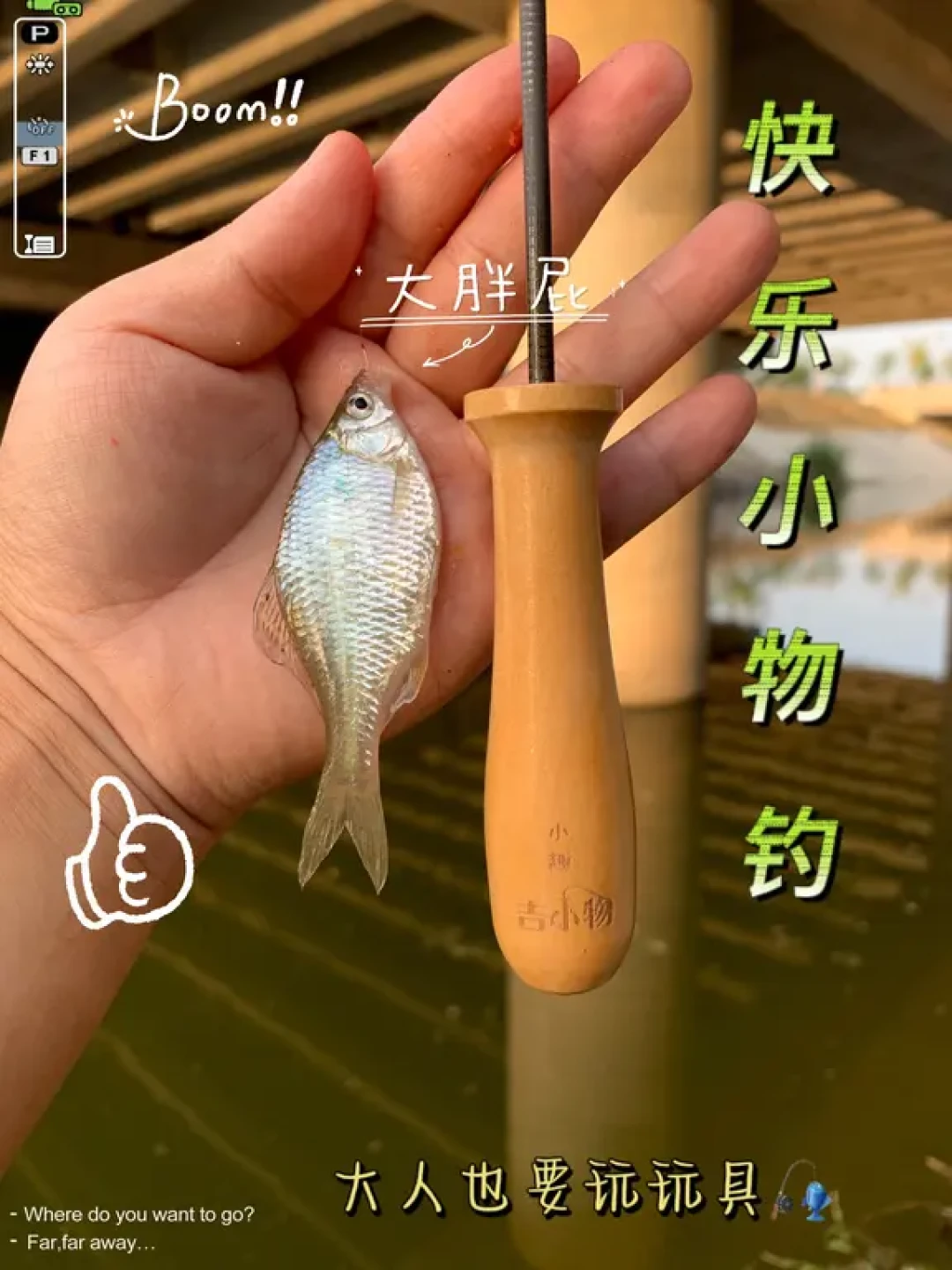 别只盯着50斤巨物:新手入坑钓鱼先看“小物钓”,一套不到100块,该买啥、哪些是智商税一篇说清