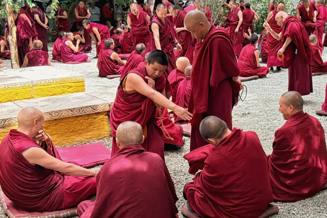 对完近20篇实测帖,我把色拉寺辩经的三笔账对齐了:周日休、冬天周一到周三也休,下午5点是票价分水岭