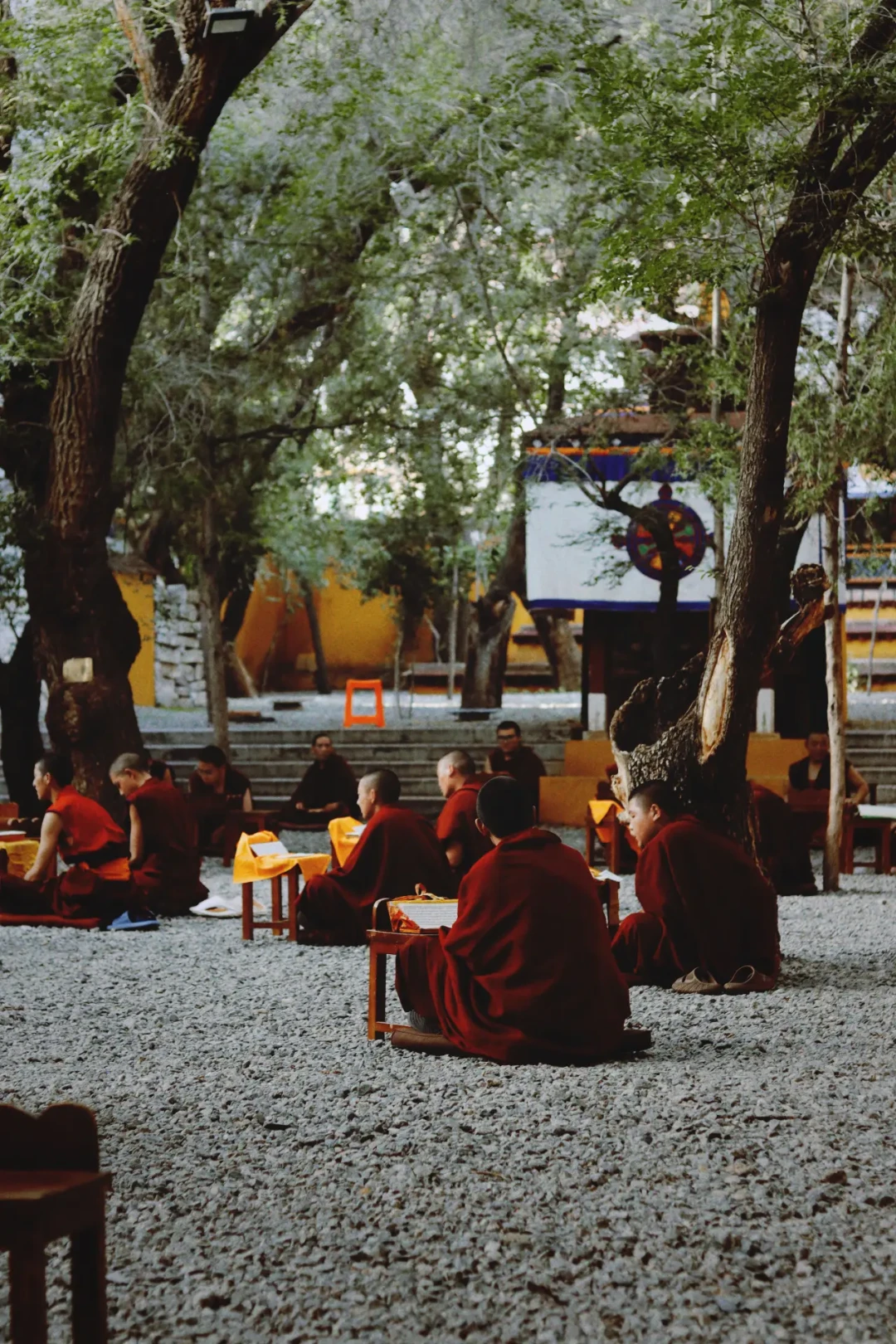 对完近20篇实测帖,我把色拉寺辩经的三笔账对齐了:周日休、冬天周一到周三也休,下午5点是票价分水岭