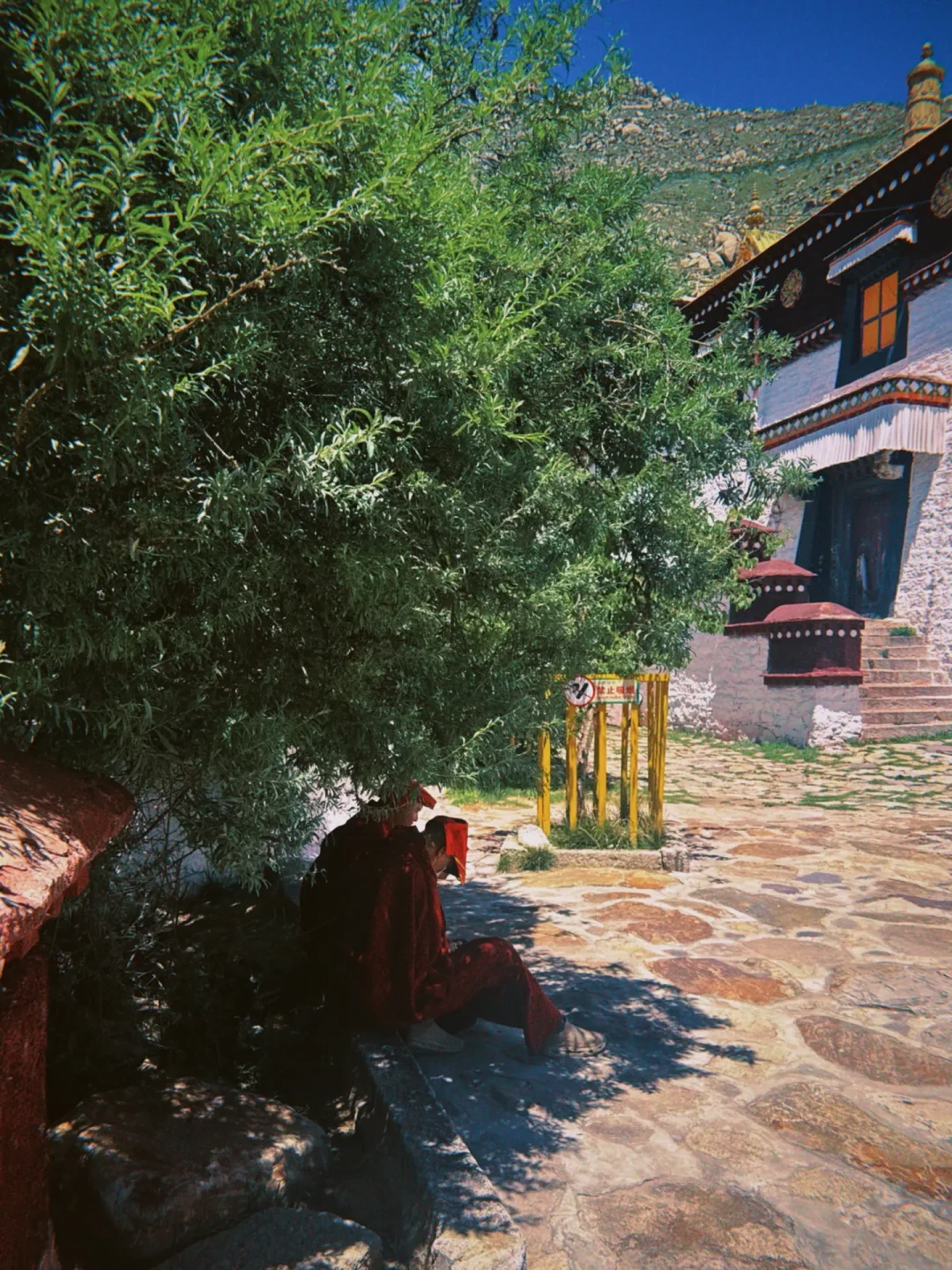 对完近20篇实测帖,我把色拉寺辩经的三笔账对齐了:周日休、冬天周一到周三也休,下午5点是票价分水岭