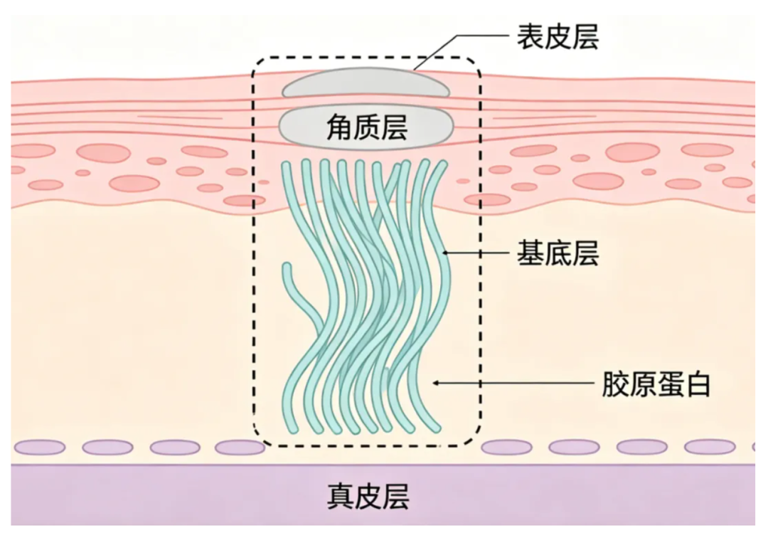 一瓶美白精华用完脸还是黄?对完腾讯医典和全网两百多条帖子:你脸上的黄,可能根本不是黑色素的锅