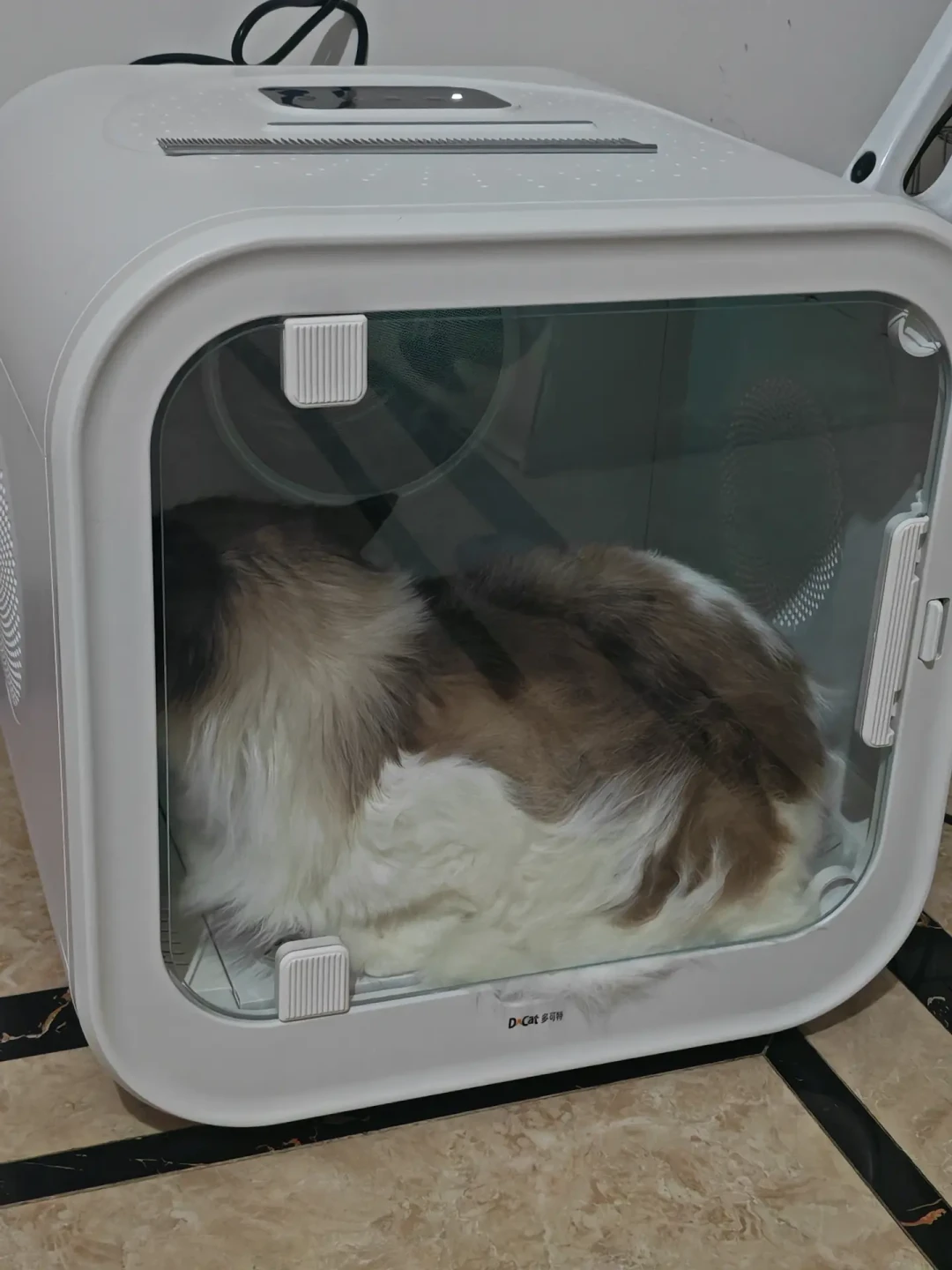 猫一次没用过，人天天在用：翻完烘干箱两派吵架帖，我把这笔钱该不该花算给你看