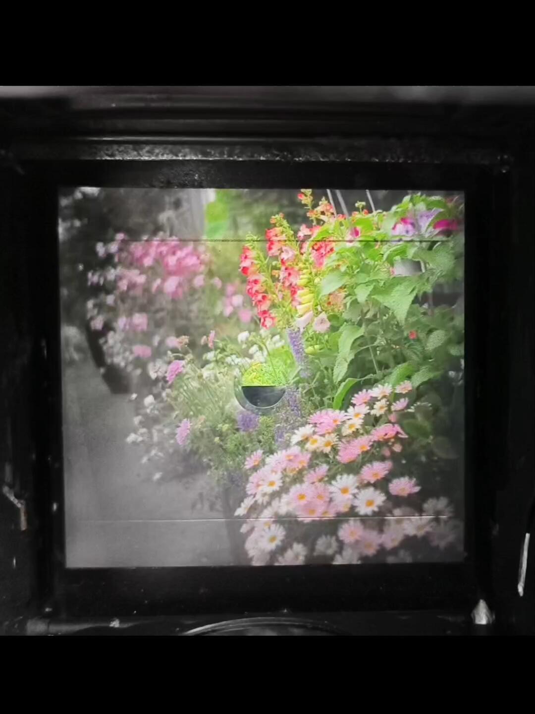 D750卖2000、胶卷150一卷：同一台单反裂成两条价格曲线，想转胶片先算清