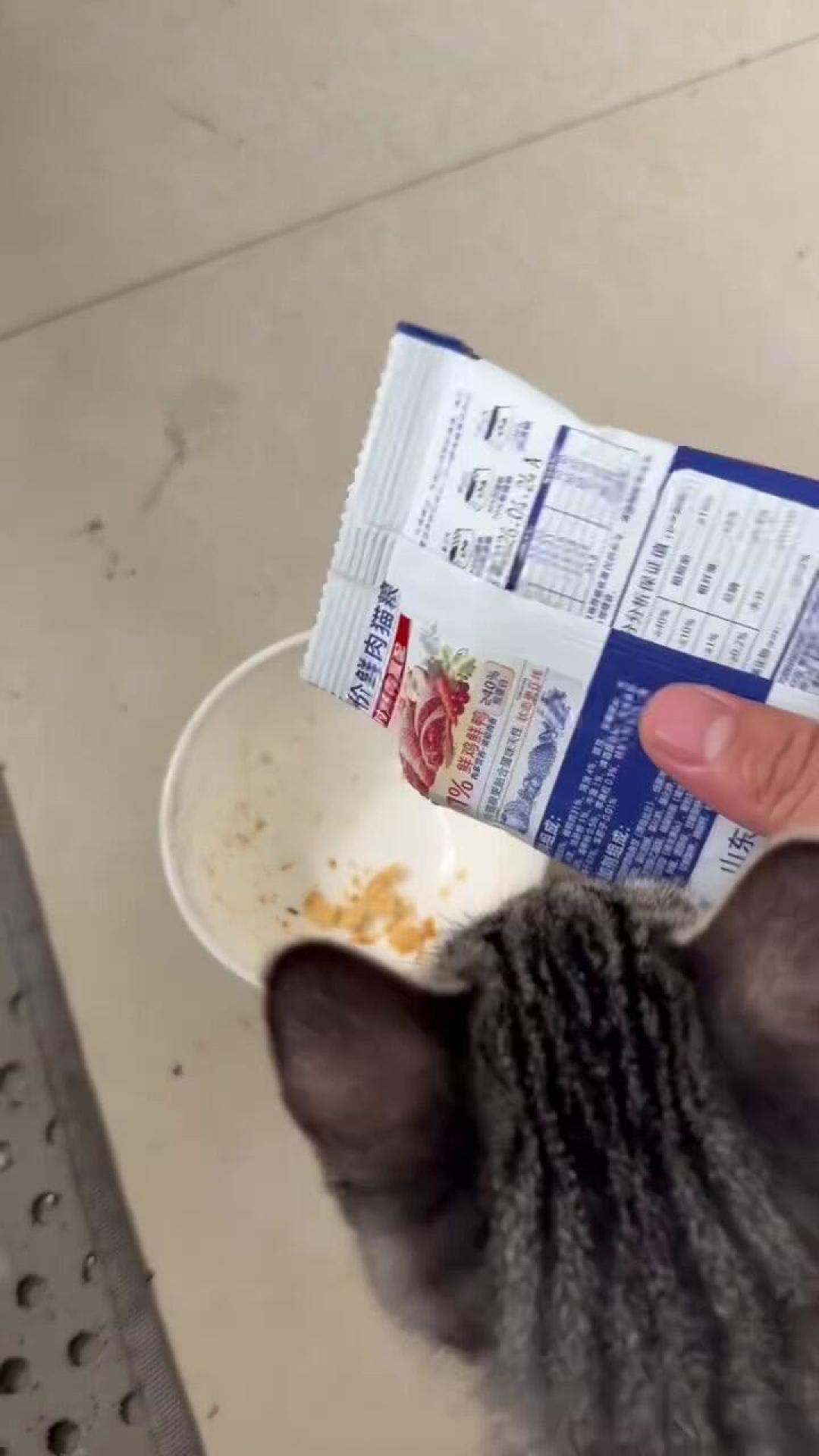 换完高蛋白猫粮,猫先软便了:标签上的50%粗蛋白,到底有多少被猫吃进去了?