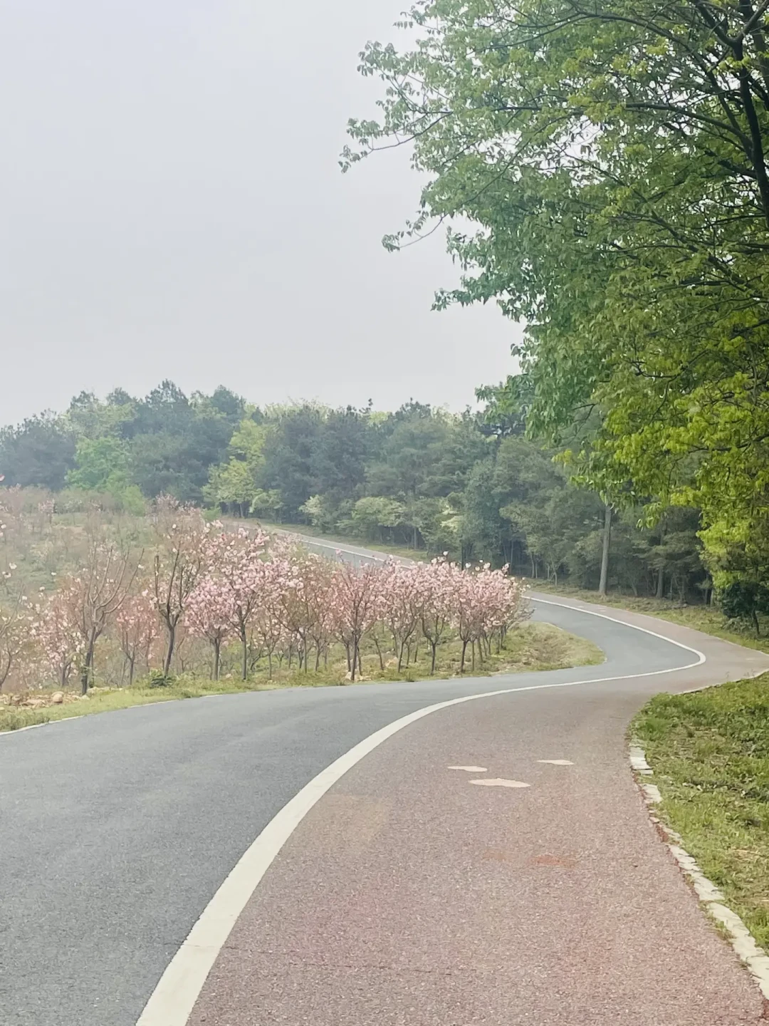 第一次100km大概率崩在60公里处:翻完全网百公里实录,我替你算完这5笔账