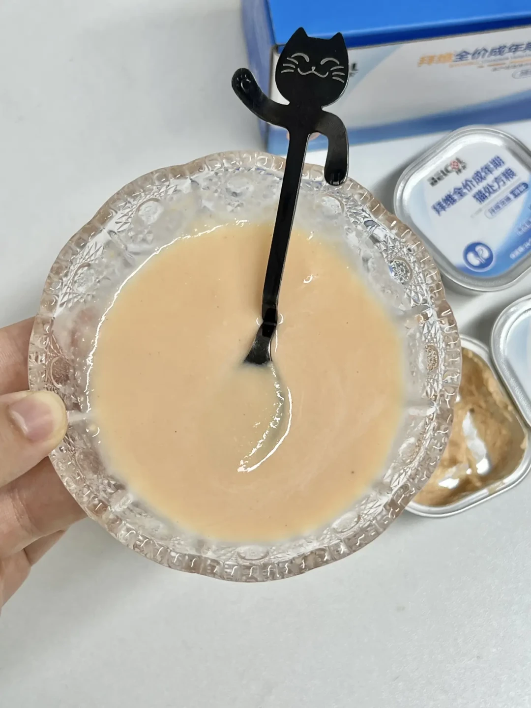 肾病猫拒绝处方粮:别饿着、别强喂,