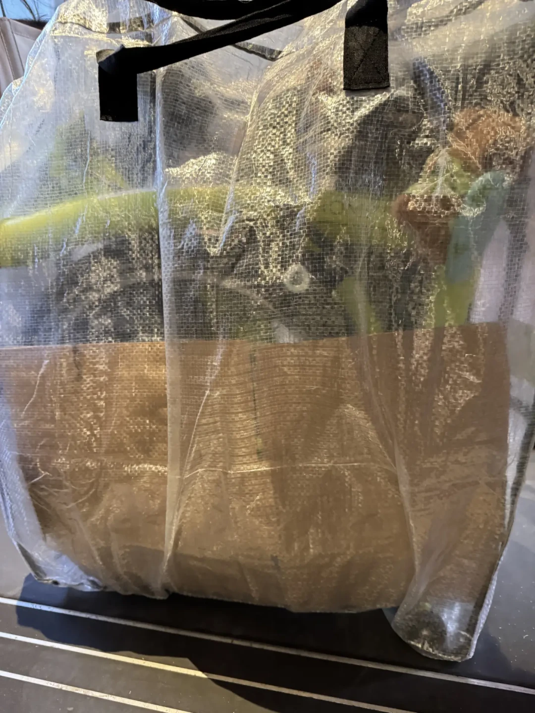 小布“上不了”高铁?翻完25篇托运战报,我把各站口径、三种打包账和20公斤红线一次算清