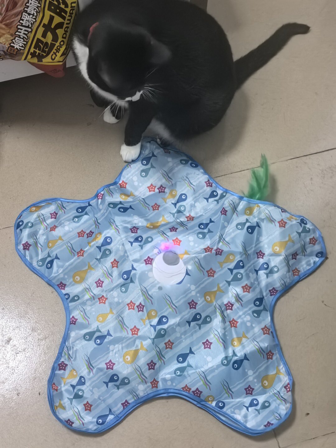 花了一百多买玩具,猫只玩快递箱?翻完全网避雷帖,我整明白了