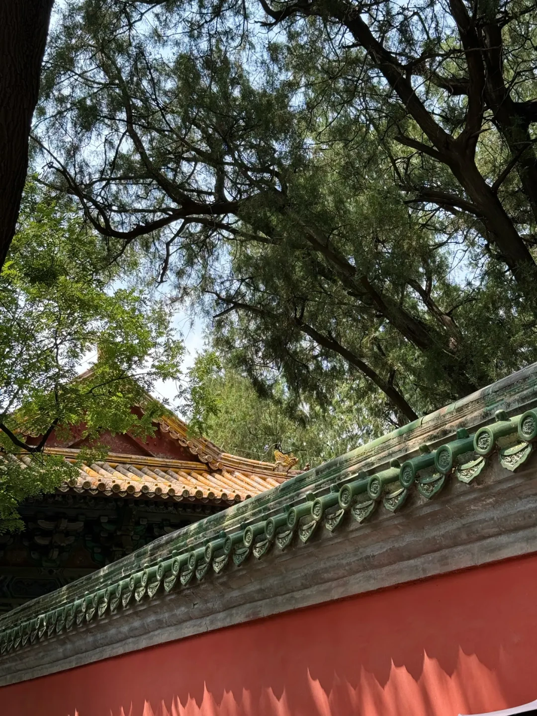 陈建功说“不必模仿老北京话”:京味文学的“味儿底子”,这个夏天正在换