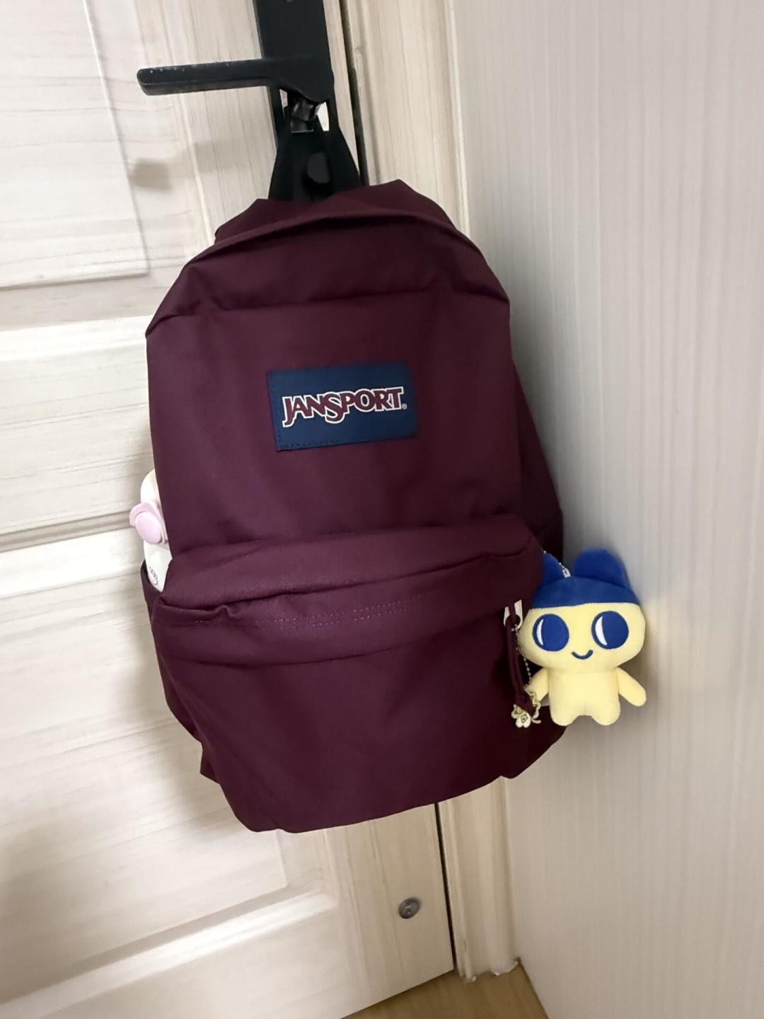 开学季校园出镜率最高的 JanSport:系列怎么选、假货怎么避、什么价格值得入