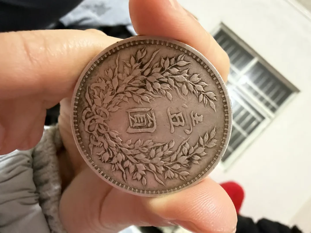 祖传10枚袁大头被豆包判了全假:银元AI鉴定火了,哪一半能信?