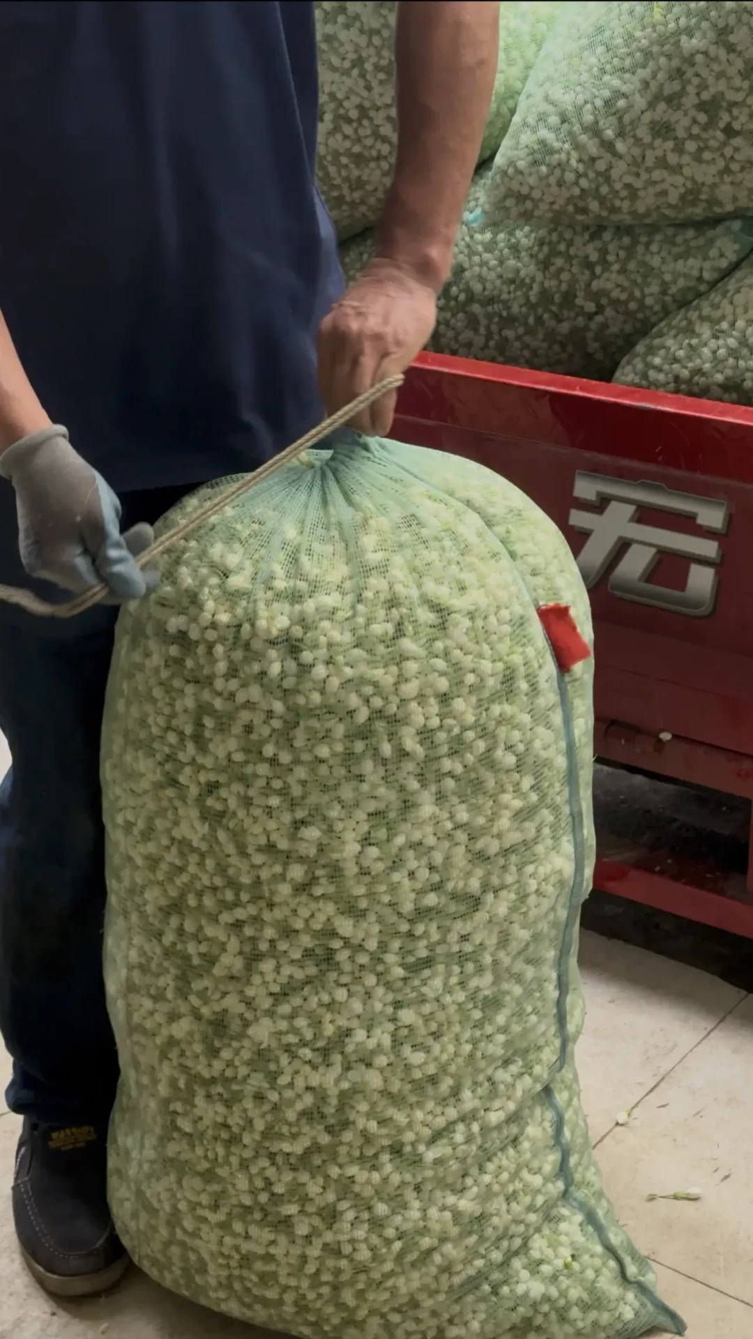 中秋收到碧潭飘雪，先别急着拆：包装上三个地方看清楚，同款茶差价三倍多