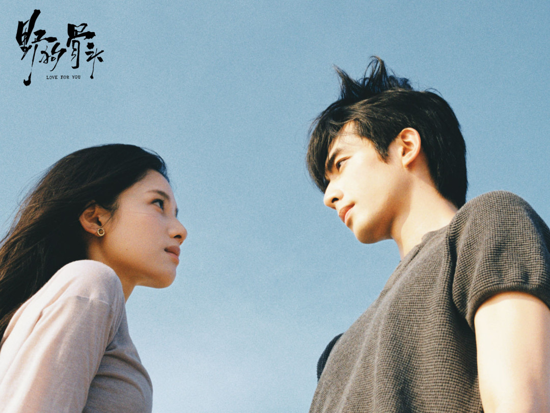 《野狗骨头》播放破9.6亿、《千香》零宣发走进财报:宋威龙暑期两部剧,开学先补哪一部