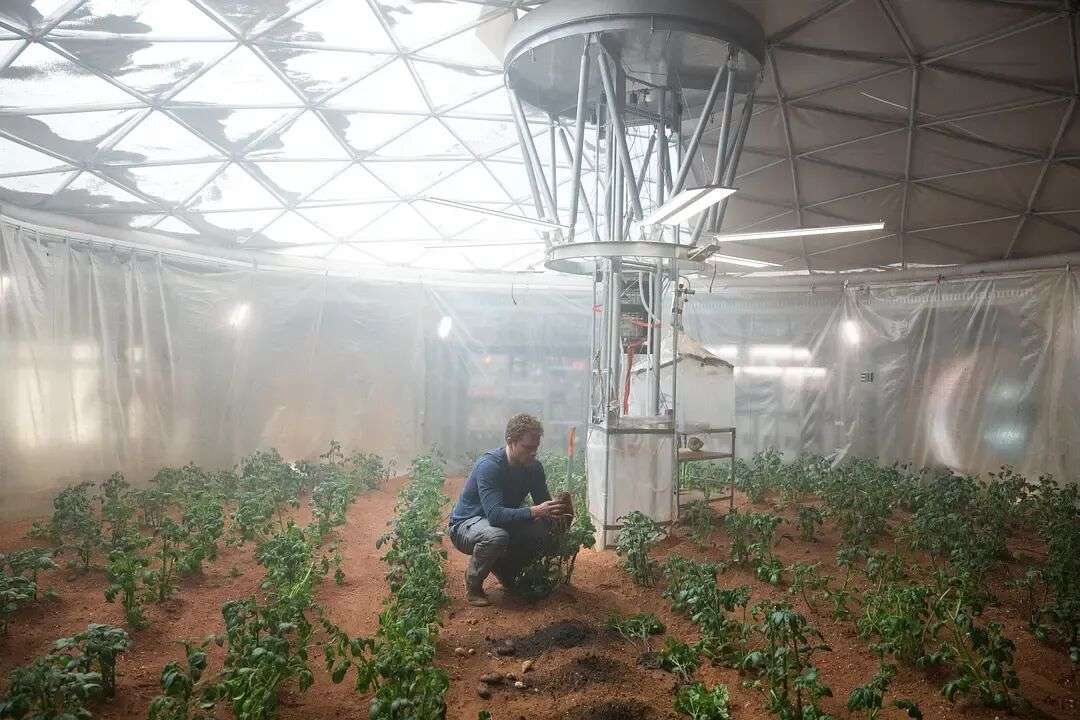 全网又在争“火星上只吃土豆能活多久”:我把沃特尼549天的口粮账重新算了一遍