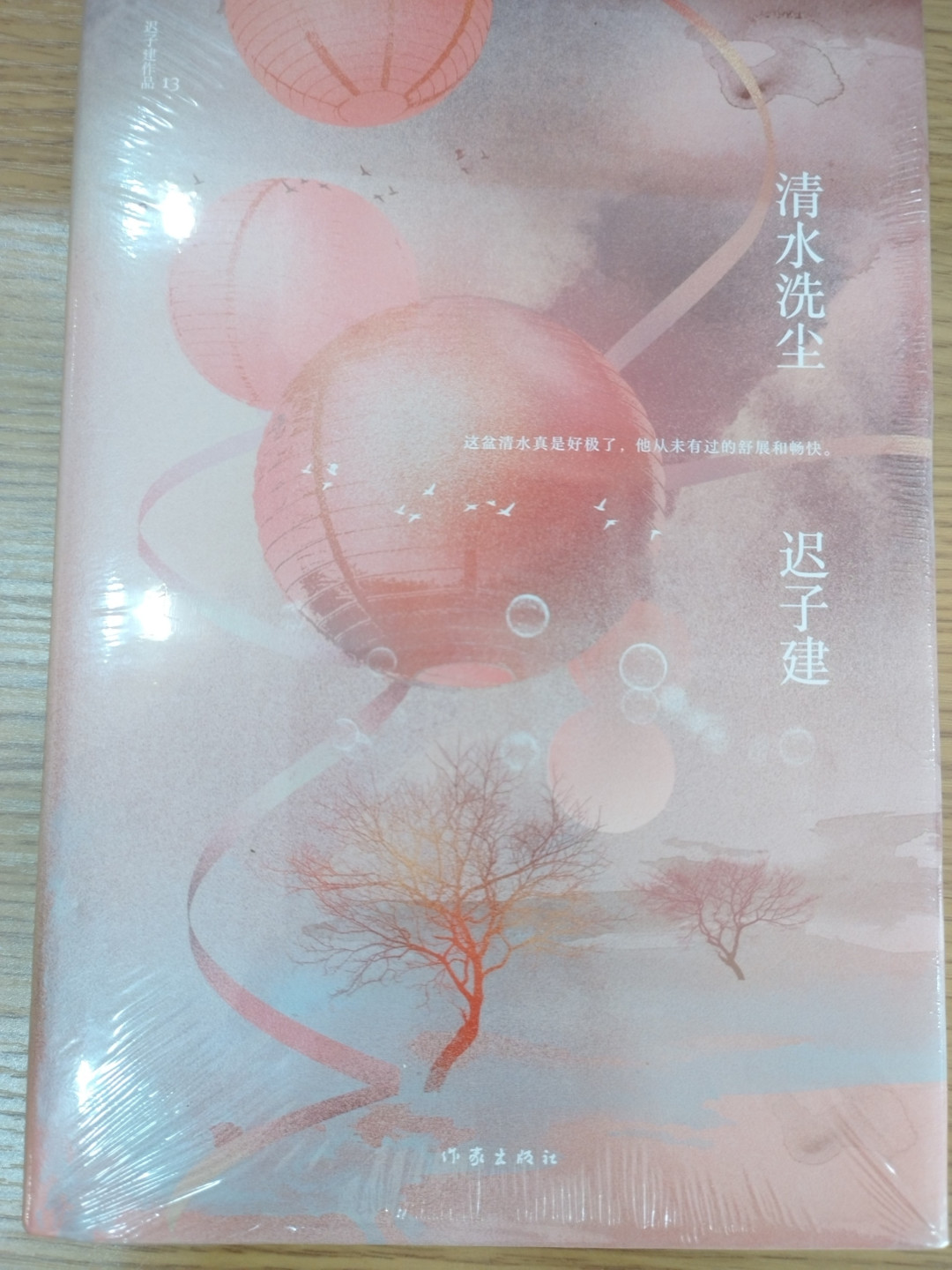 迟子建的90多本书,读完《额尔古纳河右岸》读哪本?先别碰长篇,中篇一小时就能读完