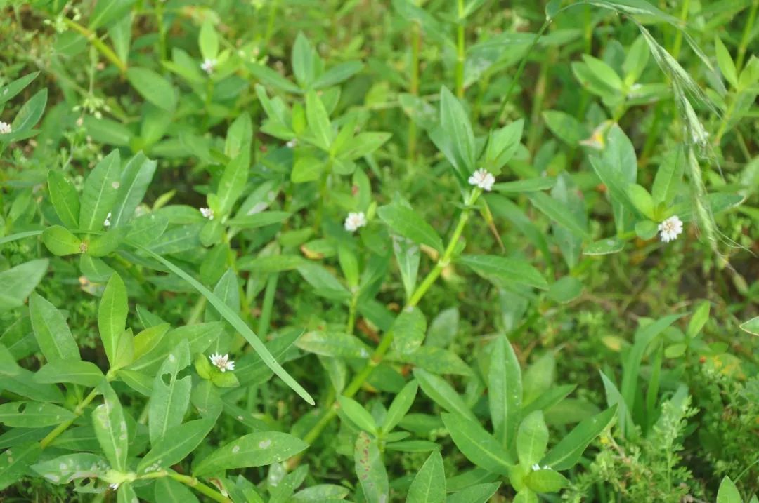 停播7年的《走近科学》,我把最离谱的几期结局整理出来了,附现在还能看的渠道