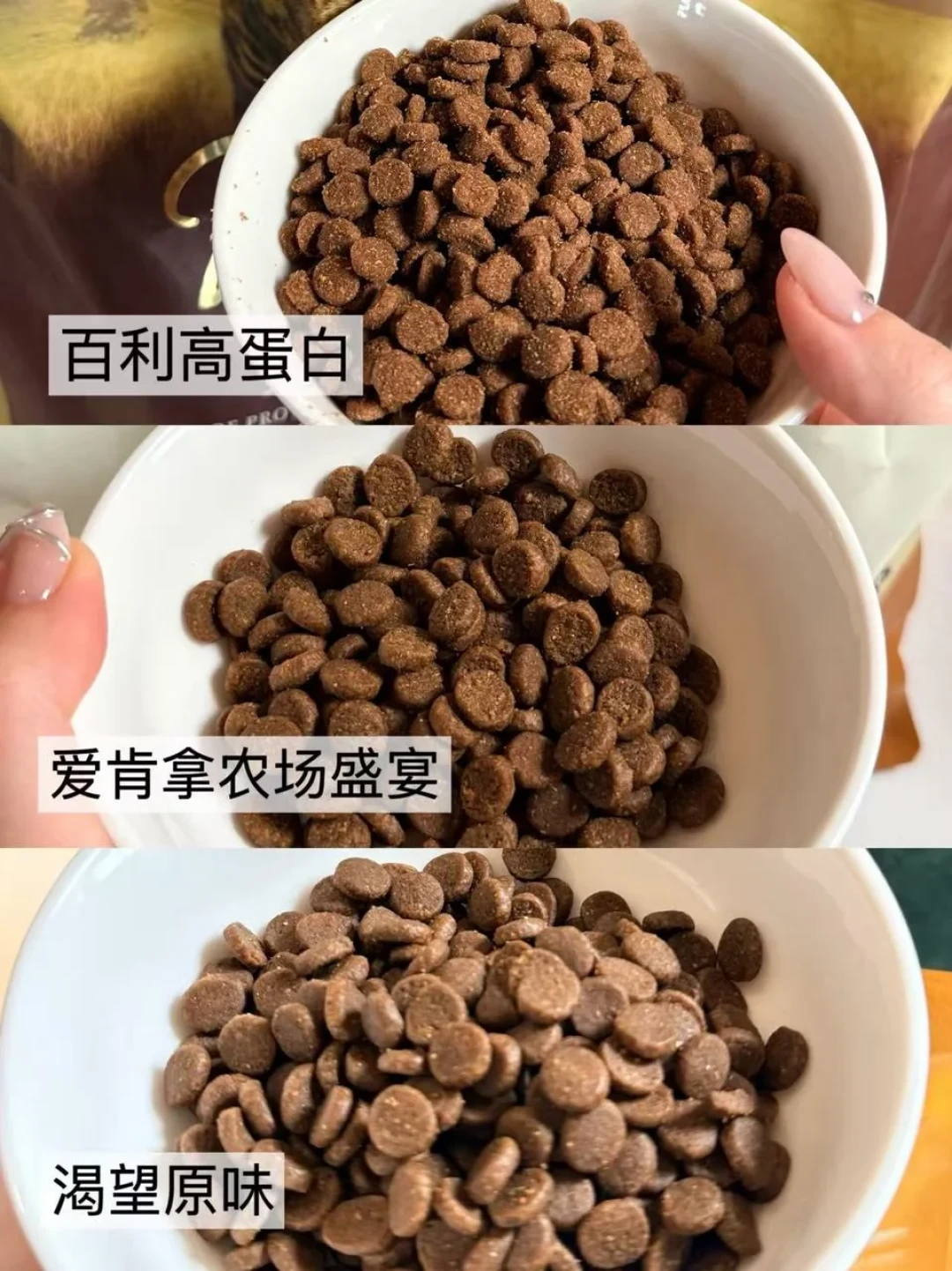 爱肯拿批次呕吐维权、美国生食召回、品牌抢发“0召回”:8月这波进口粮翻车,先分清实锤和噪音再决定换不换