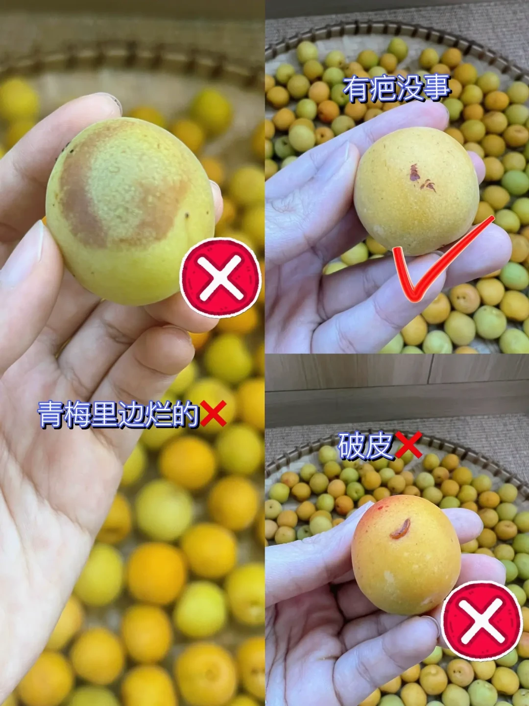 喝不完的伏特加有归宿了:九月水果上市,拿便宜瓶泡一罐,入冬喝出果香