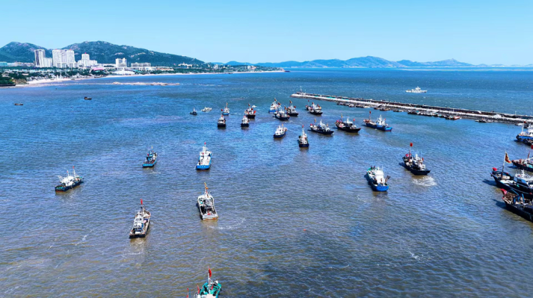 「海鲜价格暴跌」上了热搜,但有市场反而涨价:开海之后,海鲜到底哪天买才对?