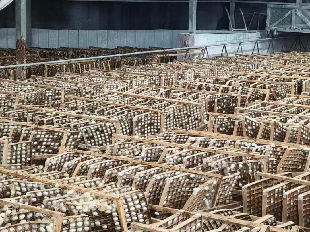 学《大明王朝1566》混职场?刷完知乎8372赞和B站115万播放,我整理了谁该学、谁千万别学