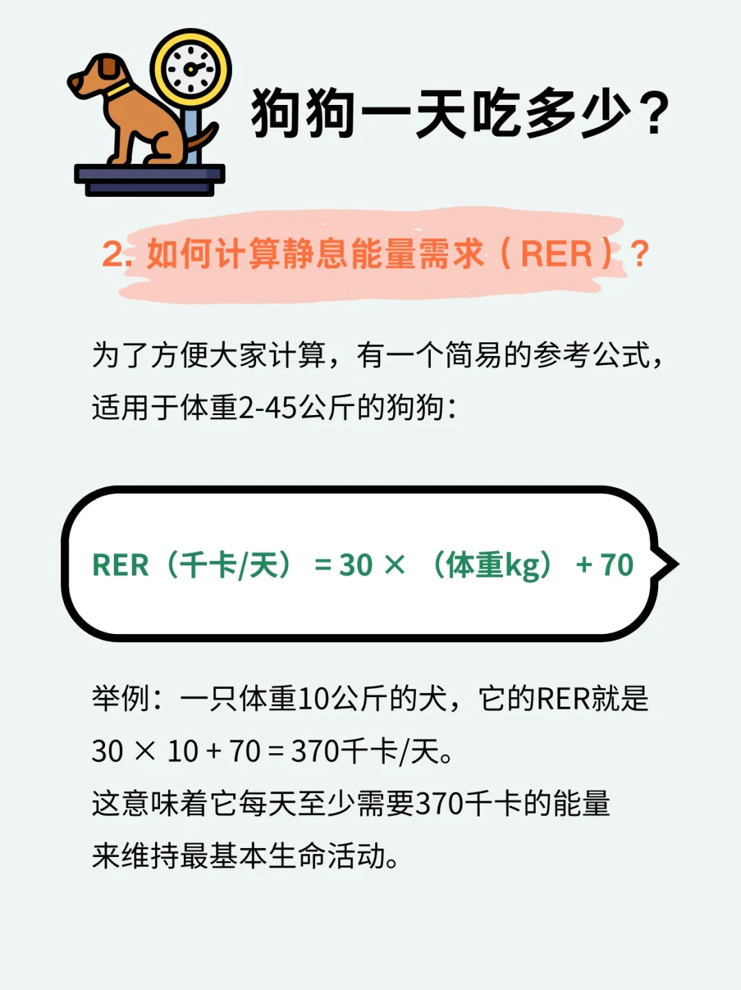 大型犬一个月花500还是1500?拆完评论区20份真实账单后发现:便宜狗粮根本没省钱